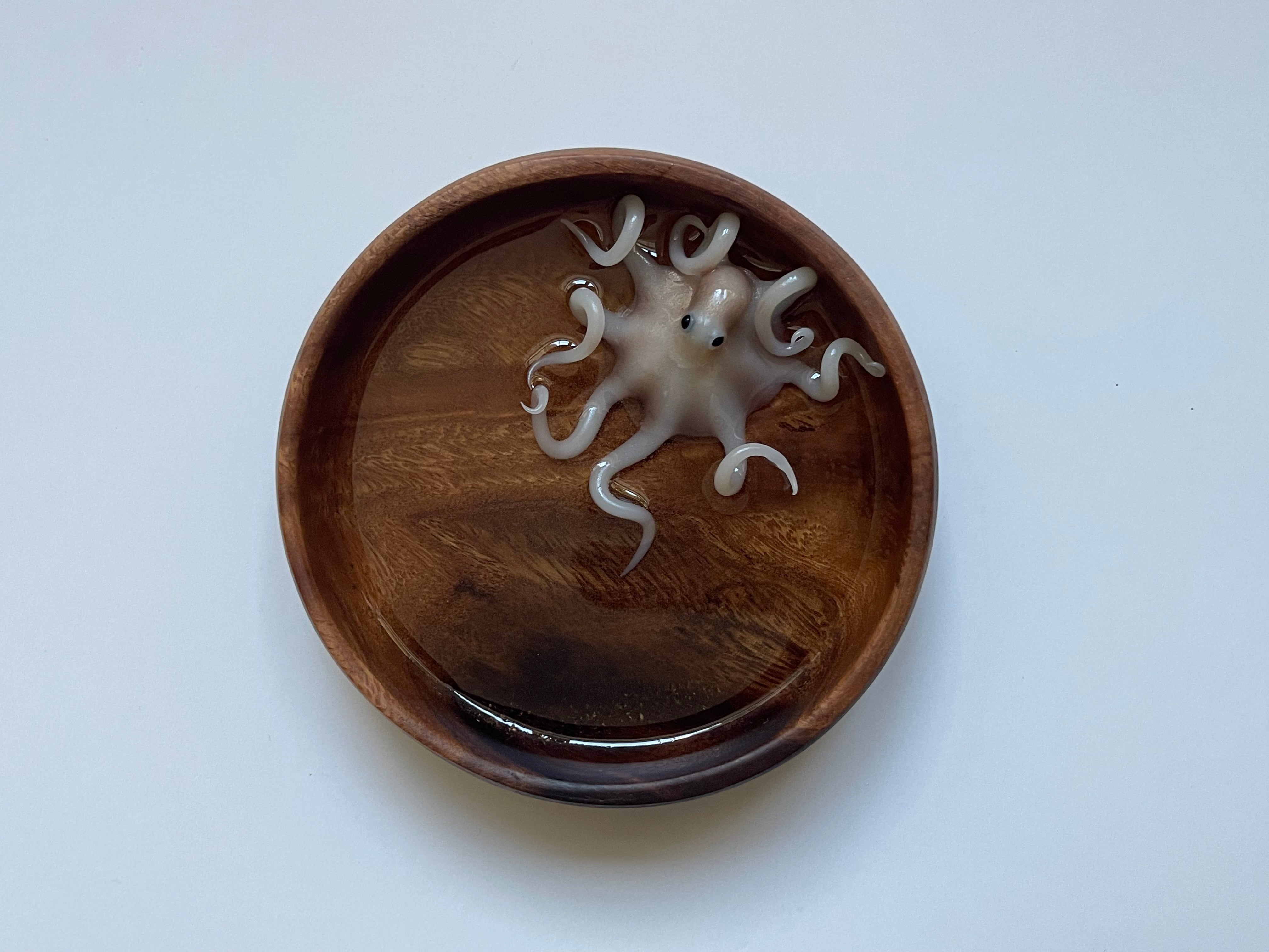 Acacia Octopus