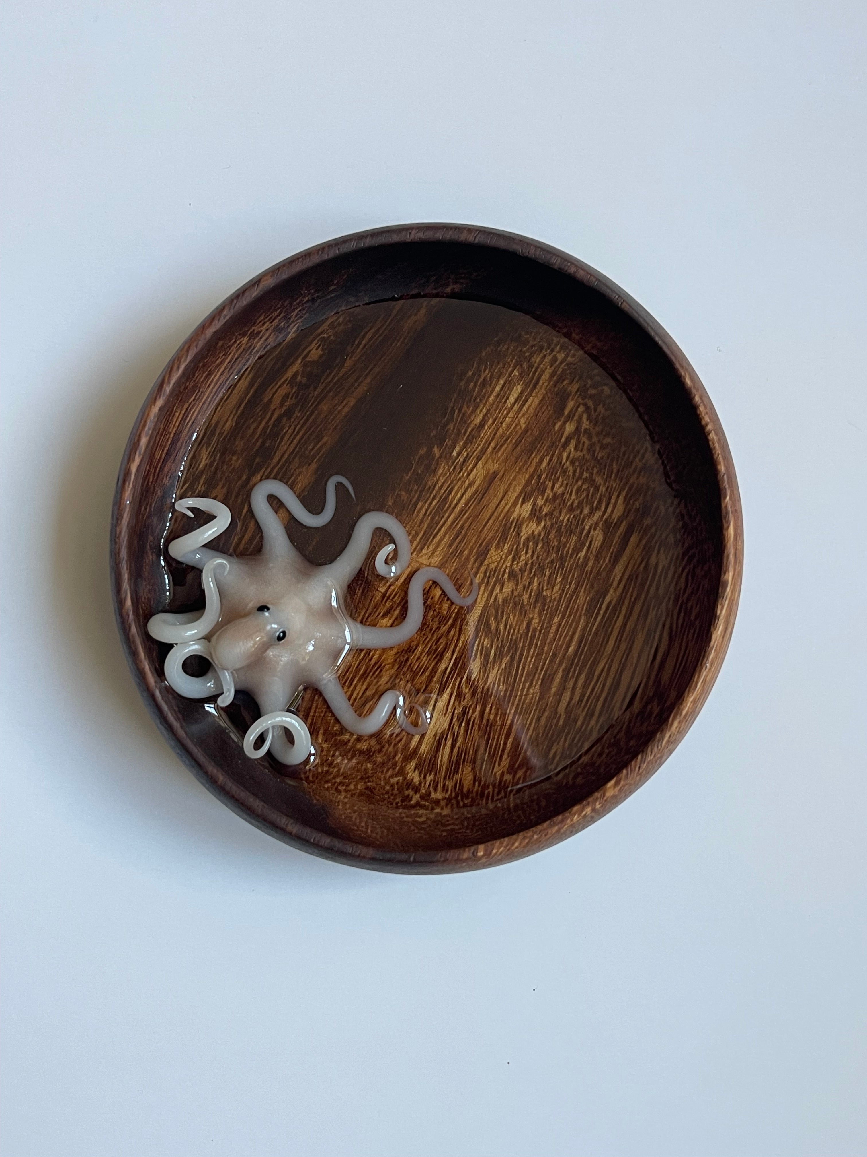 Acacia Octopus